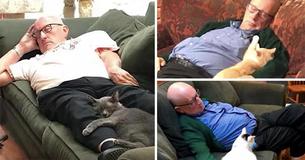 This Guy Volunteers And Naps With The Cats At His Local Shelter - And The World Is Now Obsessed With Him