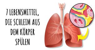 Iss diese 7 Lebensmittel, um Schleim aus Deinem Körper zu entfernen