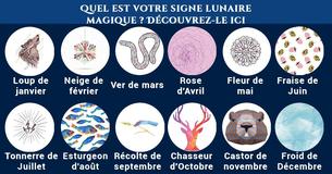 Comment votre signe lunaire magique affecte-t-il votre personnalité ?