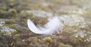 11 signes évidents que vos anges gardiens prennent soin de vous