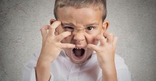 Sind Zweitgeborene Radau-Kinder?