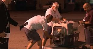 Soldier Nervous To Be Reunited With War Dog On Live TV But Opens Cage To See If She Recognizes Him