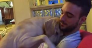 Il gronde son chien coupable et éclate de rire à la remarque "Je suis désolé" soudaine du chien qui a été filmé