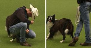 This Cowboy And His Collie Wow The Audience With Country "Dance" Performance At Dog Show