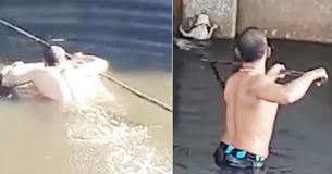 Stranded Kitten Saved By A Guy Who Swam Through Polluted River To Rescue It