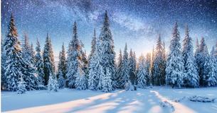 Welcher Winter-Typ bist Du?