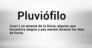 7 señales indiscutibles de que eres un pluviófilo