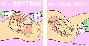 For All Moms-To-Be, We Are Busting These 13 Pregnancy Myths To Help You