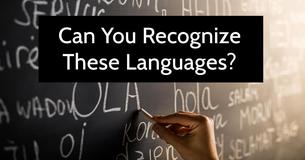 Can You Recognize All 15 Of These Languages From A Single Word?
