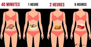 Il est important de savoir combien de temps il faut pour digérer différents aliments