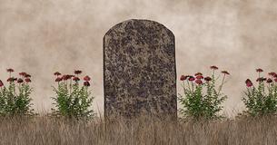 What Type Of Flowers Should Grow On Your Grave?