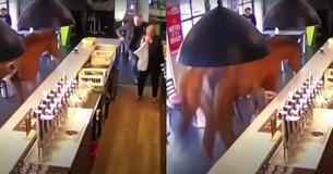Runaway Horse Caught On Camera Charging Through A Bar