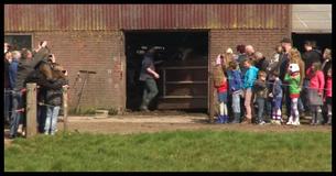 Deze koeien werden 6 maanden in een schuur opgesloten - toen ze uiteindelijk werden vrijgelaten, ging de video viral