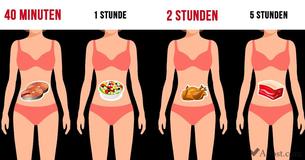 Es ist wichtig zu wissen, wie lange verschiedene Nahrungsmittel verdaut werden