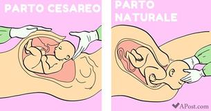 Ecco 13 miti sulla gravidanza da sfatare per tutte coloro che vogliono essere mamme