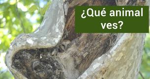 ¿Eres el cazador o la presa?