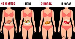Es importante conocer el tiempo que se tarda cada alimento en digerirse