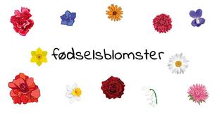 Ved du, hvad din fødselsblomst er? Find ud af, hvad den afslører om dig