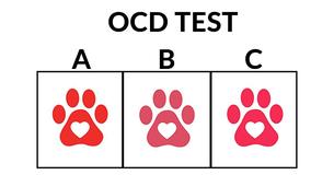 Is Your OCD Radar Sensitive?