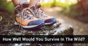 How Well Would You Survive In The Wild?