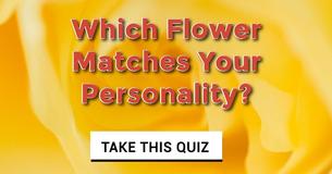 Which Flower Matches Your Personality?