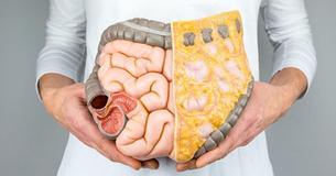 Everything You Need To Know About Visceral Fat And Why You Need To Reduce It