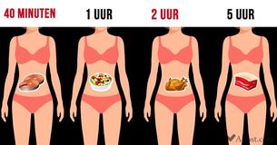 Het is belangrijk om te weten hoe lang verschillende voedingsmiddelen erover doen om te verteren
