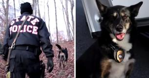 After Rescuing "Unadoptable" Shelter Dog, K9 Officer Leads Cop Into Woods And Makes Unnerving Discovery