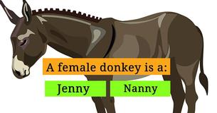 Only 2% Of American High School Students Passed This Animal Vocabulary