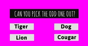 Can You Pass A 10-Question IQ Test That Most American High School Students Fail?