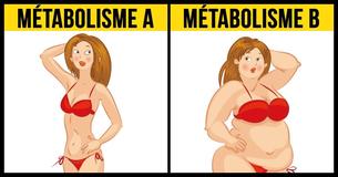 Comment un régime métabolique fonctionne et pourquoi il est efficace