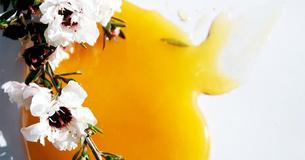 Manuka Honey Hailed As Miraculous Antibiotic By People Around The World