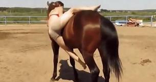 Woman Struggles To Mount Horse Until It Suddenly Becomes Impatient And Gives Her A Surprise