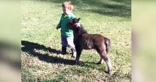 Adorable Little Boy And Mini Horse Have Become Best Friends, And Our Faith In Humanity Is Restored