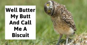 Only A True Southerner Will Pass This Southern Phrases Quiz