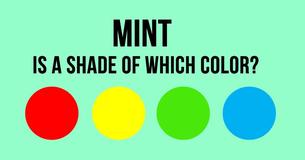 Can Your Eyes Actually Process Various Shades Of Color?