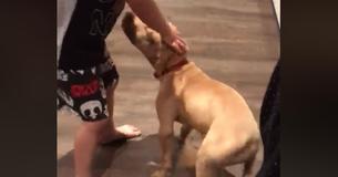 Young Boy Is Overjoyed As Puppy, Allegedly Stolen From Yard, Comes Back