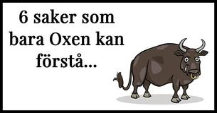 6 saker som bara Oxen kan förstå