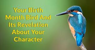 What Does Your Bird Month Reveal About Who You Truly Are?