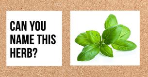 Only 15% Of Cooks Can Actually Identify The 13 Most Common Herbs