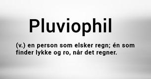 7 ubestridelige tegn på, at du er en Pluviophil