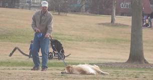 PARK-GOERS IN TEARS AS DOG REFUSES TO LEAVE WITH HIS OWNER