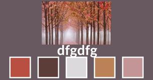 dfgdfg