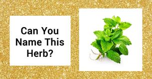 Only 5% Of Women Can Actually Identify The 13 Most Common Herbs