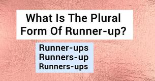 No One Can Score 30/30 In This Tricky Plural Forms Test