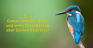 Was enthüllt Dein Vogelmonat darüber, wer Du wirklich bist?