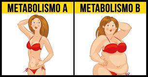 O que é a dieta metabólica e por que ela é tão eficaz