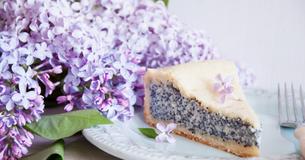Klassisches Rezept: Thüringer Mohnkuchen