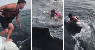 Humpback Whale Gets Trapped In Net, So A Fisherman Risks His Life To Save It By Jumping In The Ocean