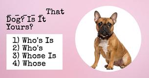 No One Can Pass This Basic 6th Grade Grammar Quiz 